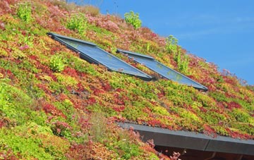 Saxtead living roof systems