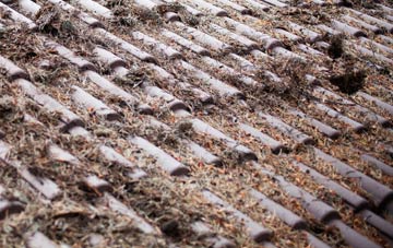 Saxtead roof cleaning companies