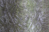 Saxtead fibreglass roof work